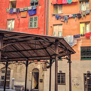 GENOVA-15