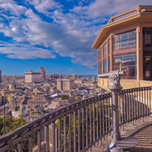 GENOVA-19