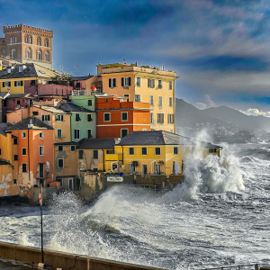 GENOVA-30