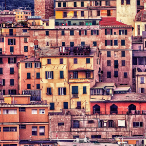 GENOVA-35