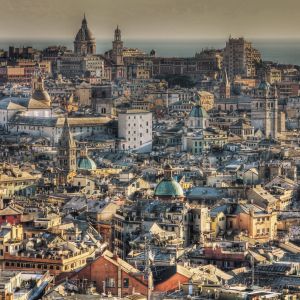 GENOVA-37