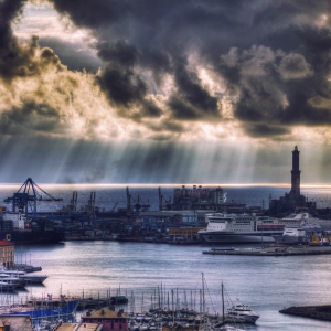 GENOVA-56