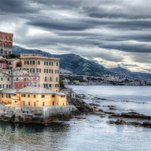 GENOVA-57