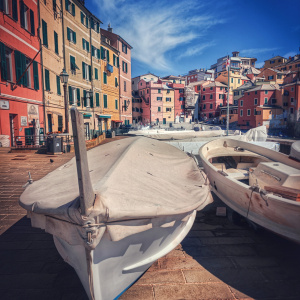 GENOVA-81