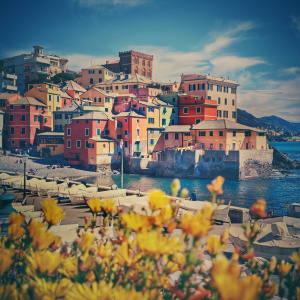 GENOVA-82