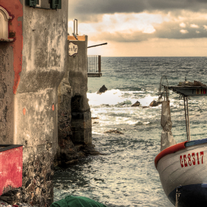 GENOVA-9