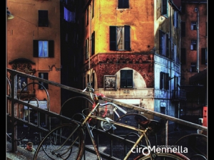 carmine